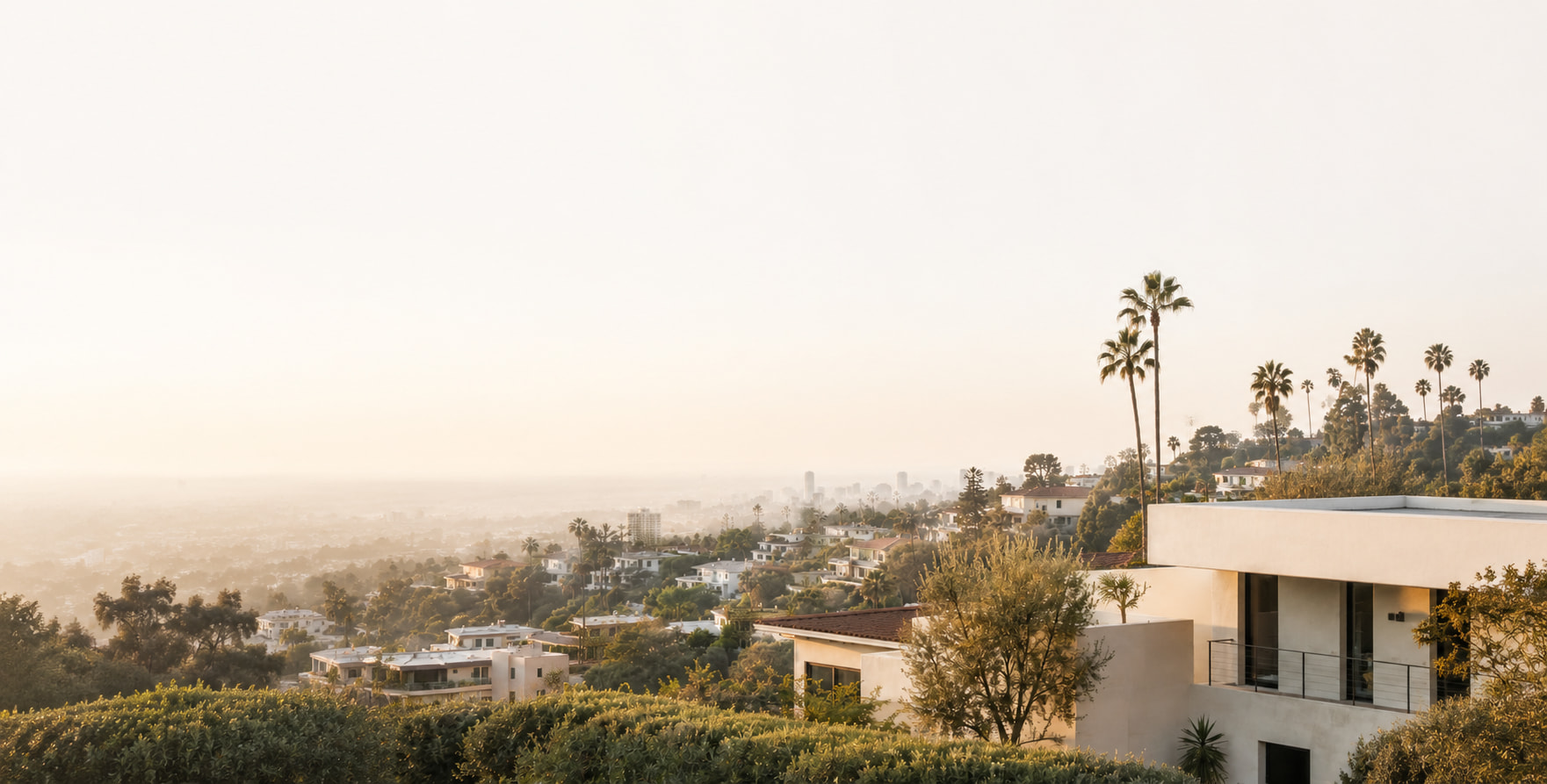 California hillside residential view with palm trees and homes